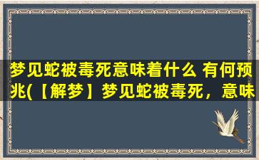 梦见蛇被毒死意味着什么 有何预兆(【解梦】梦见蛇被毒死，意味深长，蕴藏福音)